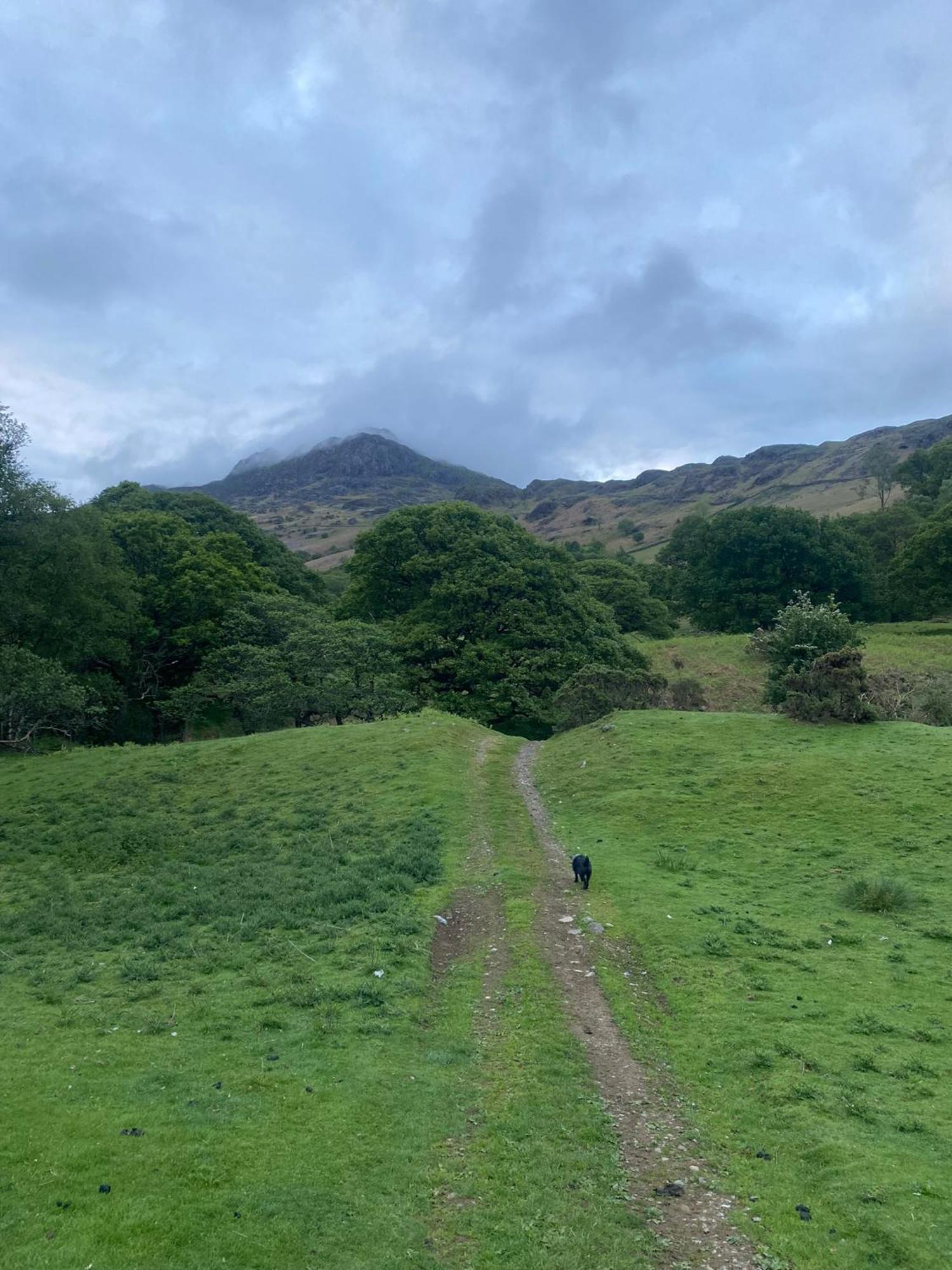 Cosy Glamping In The Eskdale Valley - Studio Lodges And Mega Pods Exterior foto