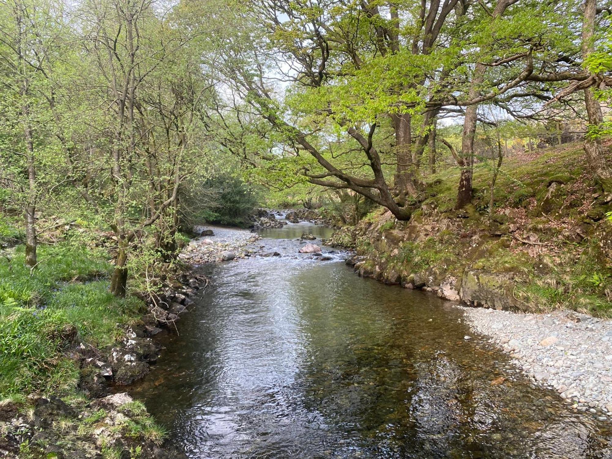 Cosy Glamping In The Eskdale Valley - Studio Lodges And Mega Pods Exterior foto